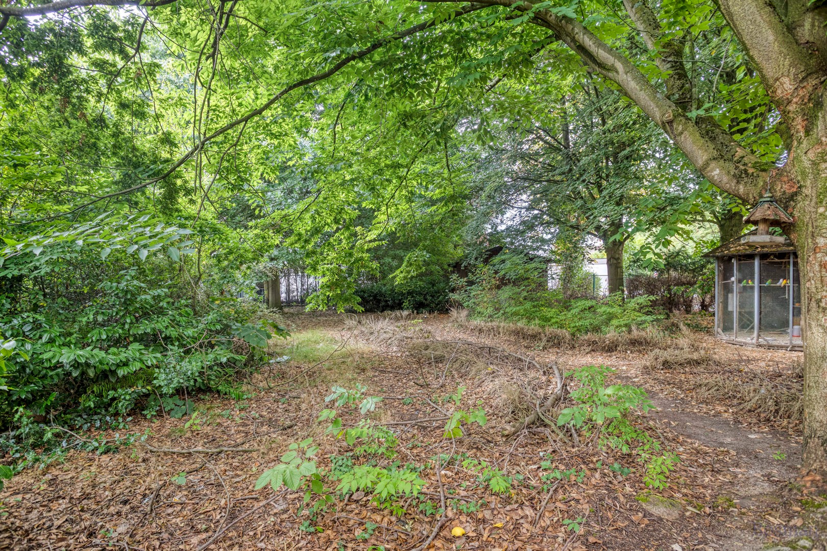 Ruime gezinswoning op perceel van 14a 16ca te koop in Tessenderlo