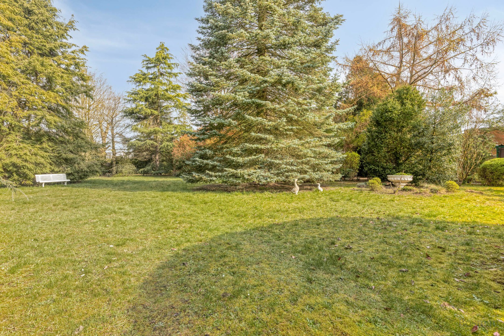 Projectgrond met woning te koop in Schoot, Tessenderlo