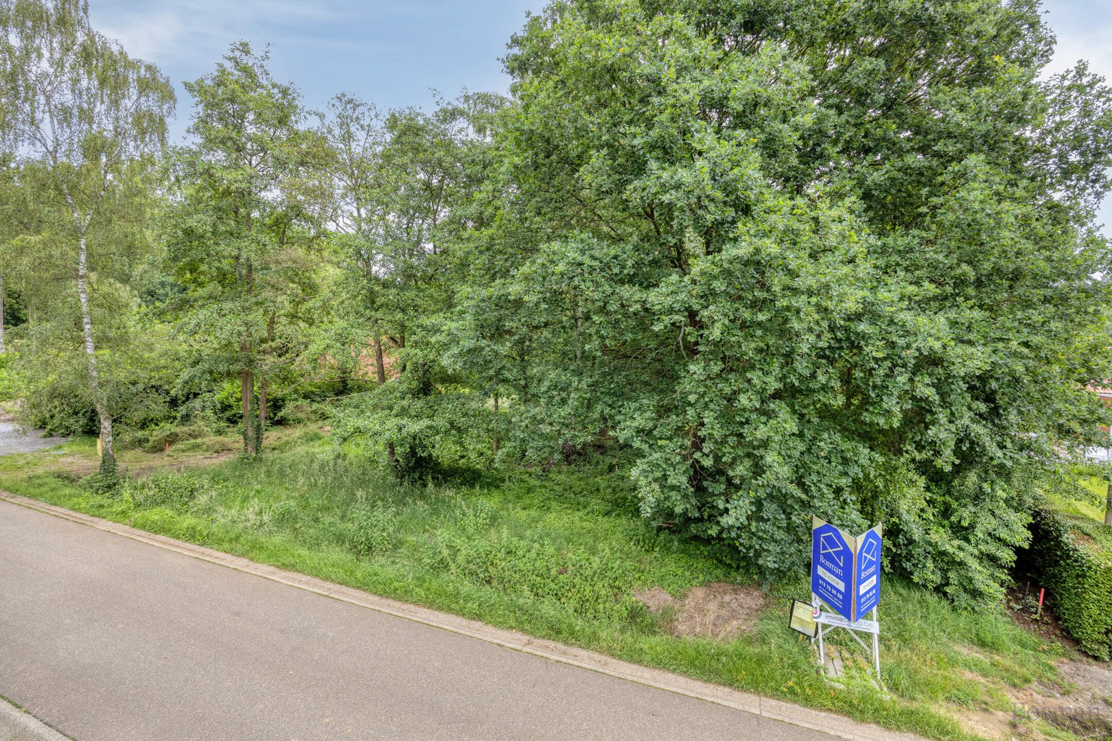 Bouwgrond op 16a 76ca te koop in Tessenderlo-Ham