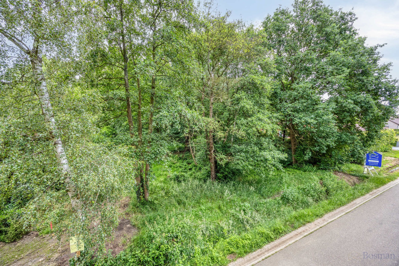 Bouwgrond op 16a 76ca te koop in Tessenderlo-Ham