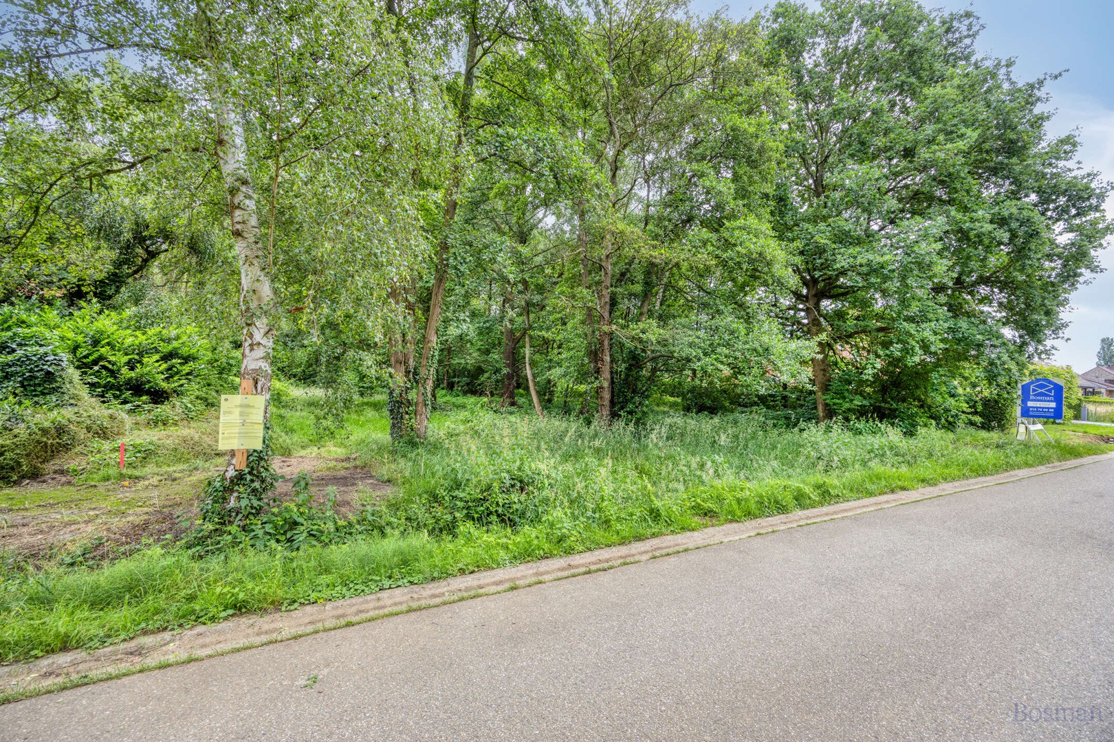 Bouwgrond op 16a 76ca te koop in Tessenderlo-Ham