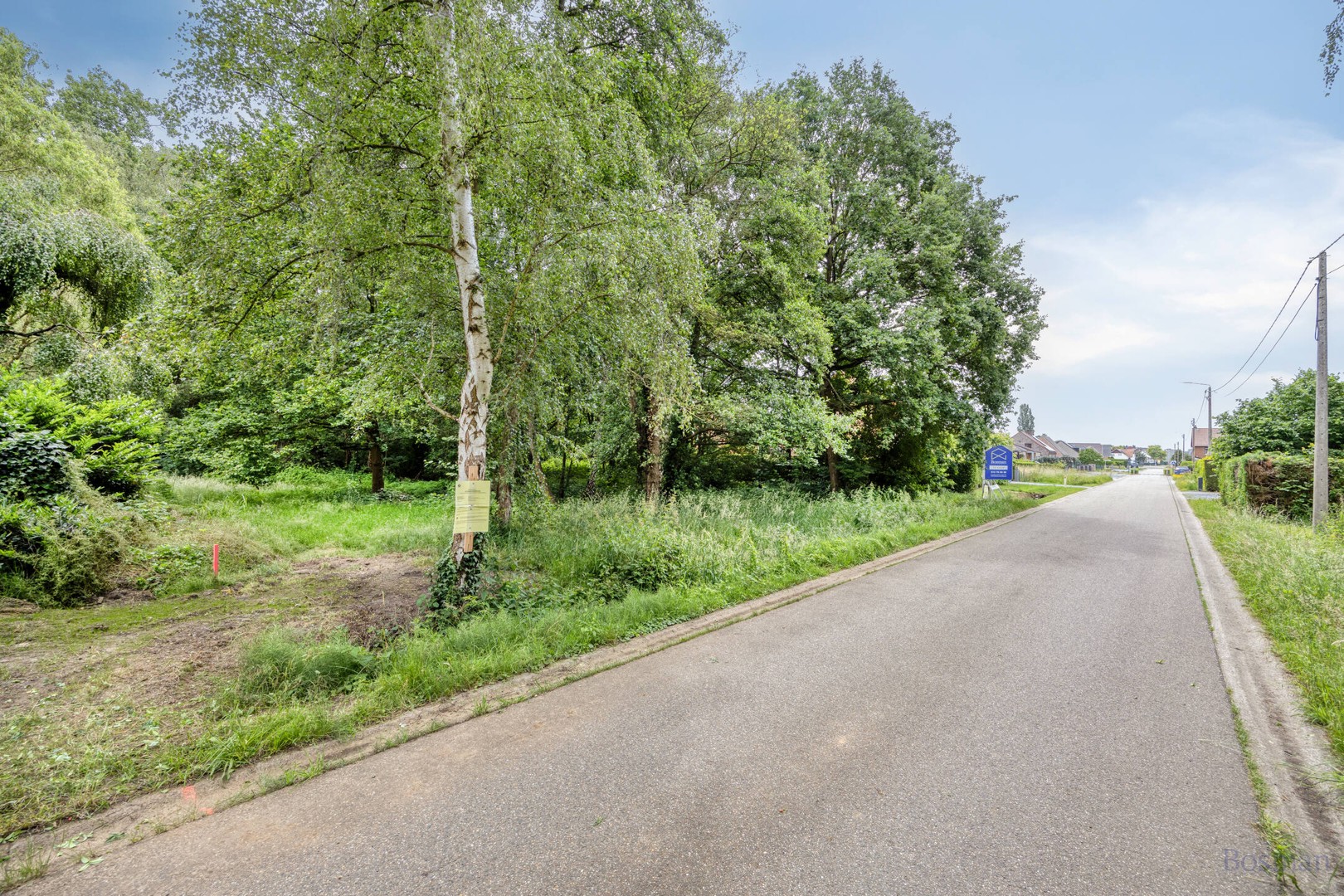 Bouwgrond op 16a 76ca te koop in Tessenderlo-Ham
