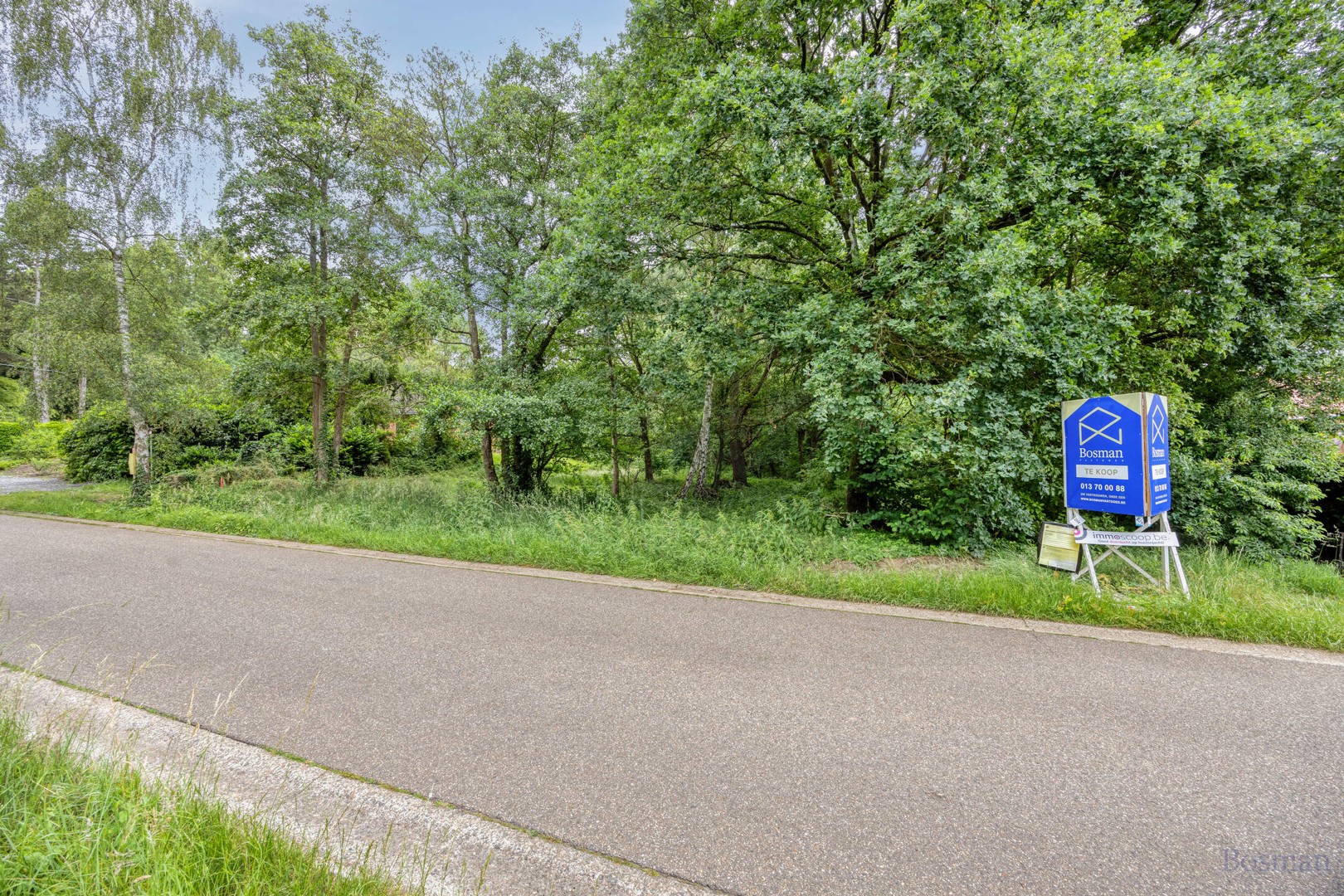Bouwgrond op 16a 76ca te koop in Tessenderlo-Ham