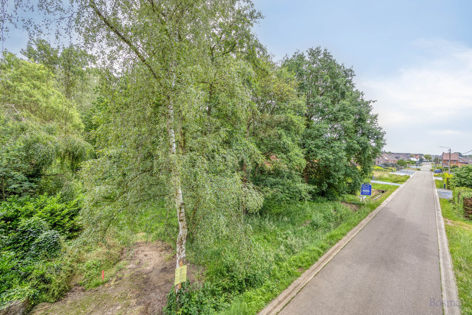 Bouwgrond op 16a 76ca te koop in Tessenderlo-Ham