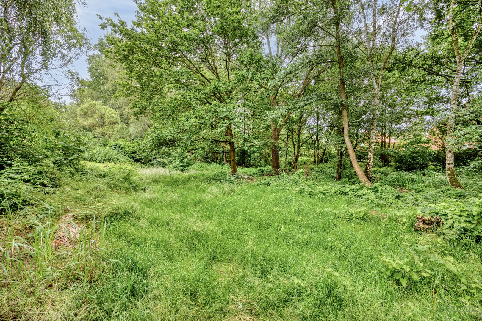 Bouwgrond op 16a 76ca te koop in Tessenderlo-Ham