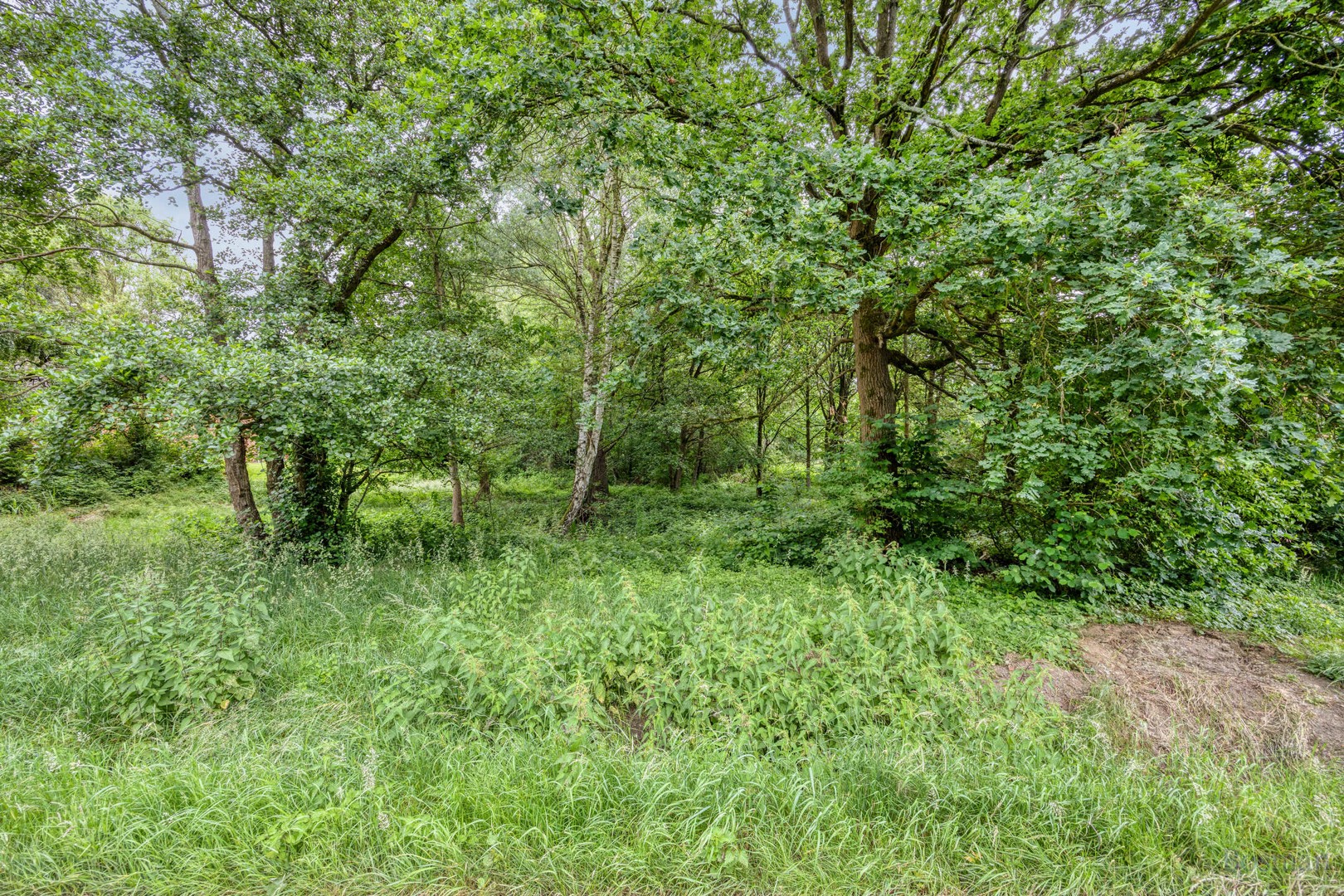 Bouwgrond op 16a 76ca te koop in Tessenderlo-Ham