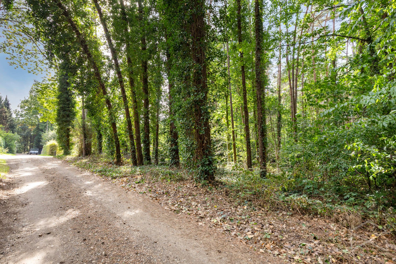 Bouwgrond voor vakantieverblijf te koop in Tessenderlo